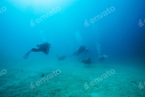Preview: Diver Underwater