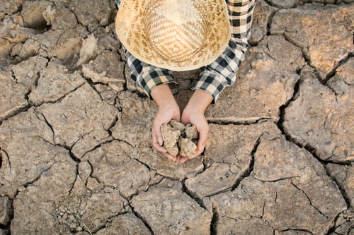 Preview: Dry Cracked Earth Held by Person with Hat