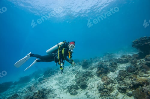 Preview: Diver Underwater