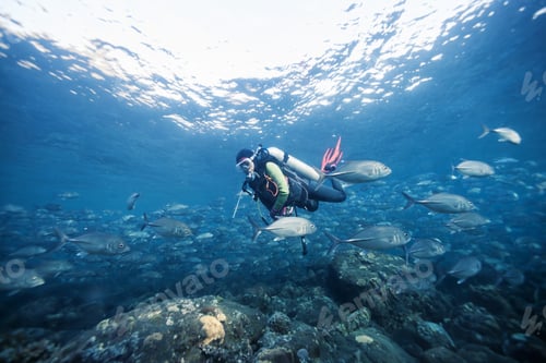 Preview: Diver Underwater