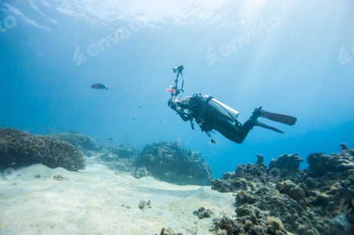 Preview: Diver Underwater