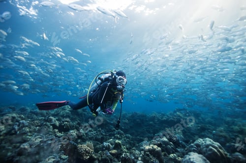 Preview: Diver Underwater