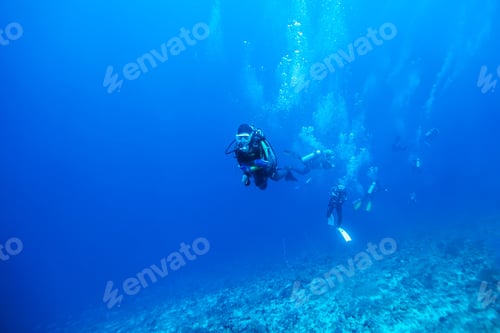 Preview: Diver Underwater