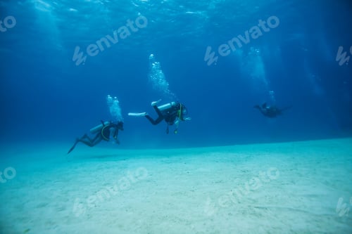 Preview: Diver Underwater