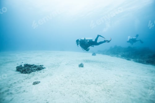 Preview: Diver Underwater