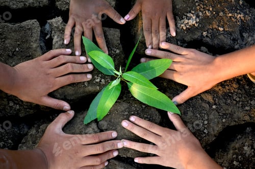 Preview: Hands Holding Green Plant On Dry Ground . Concept Save World