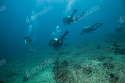 Preview: Diver Underwater