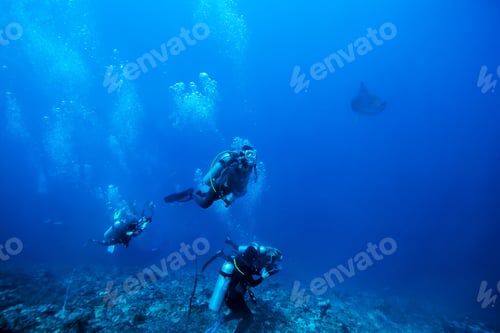 Preview: Diver Underwater