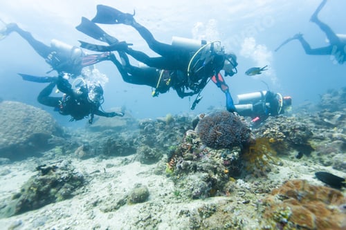 Preview: Diver Underwater