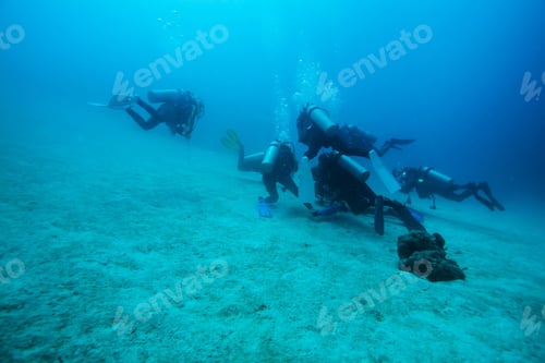 Preview: Diver Underwater