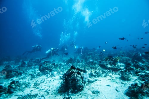 Preview: Diver Underwater