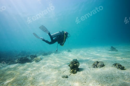 Aperçu: Plongeur sous-marin