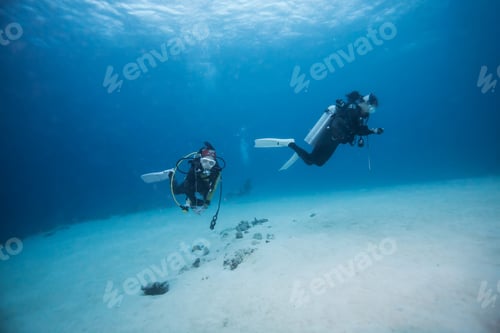 Preview: Diver Underwater