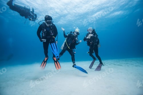 Preview: Diver Underwater