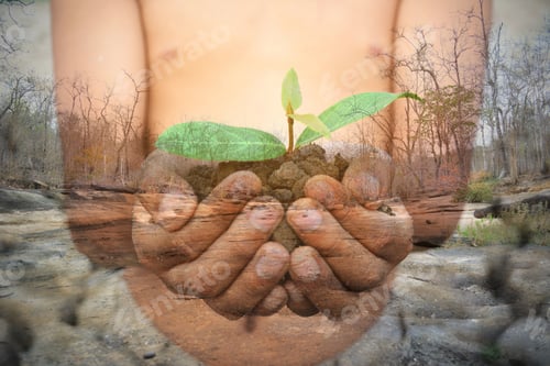 Preview: Double Exposure Of Hand Holding Green Plant On Dry Ground. Concept Drought And Save The World