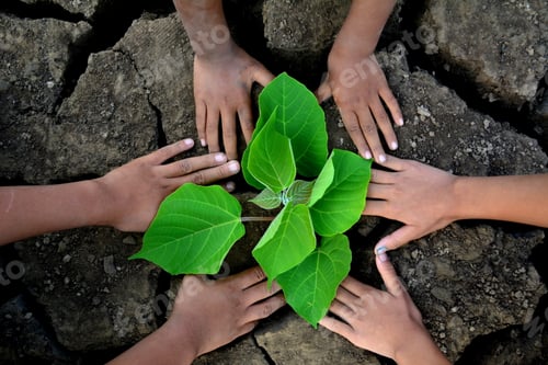Preview: Hands Holding Green Plant On Dry Ground . Concept Save World