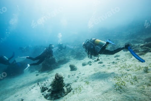 Preview: Diver Underwater
