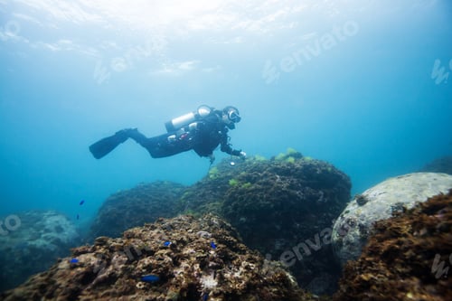 Preview: Diver Underwater