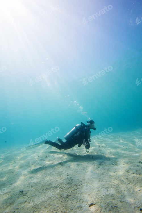 Preview: Diver Underwater