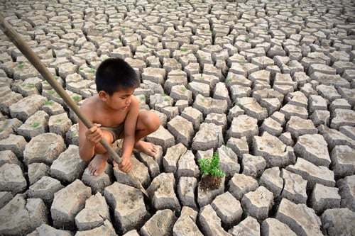 Preview: A Boy Planting Seedling On Dry Ground.Concept Drought