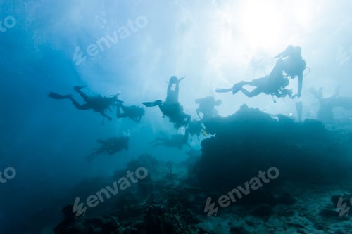 Preview: Diver Underwater