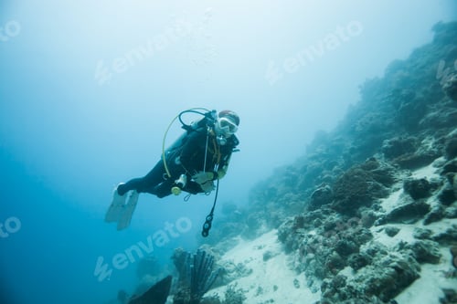 Preview: Diver Underwater