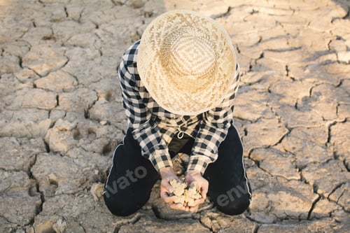 Preview: Person Holds Cracked Earth in Dry Land