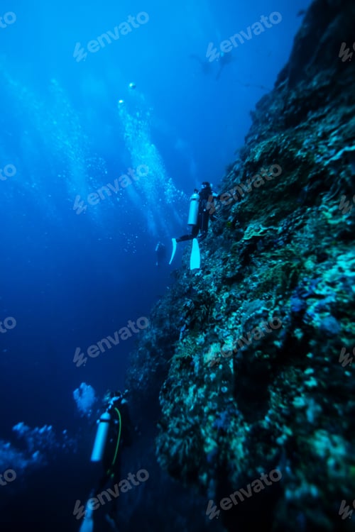 Preview: Diver Underwater