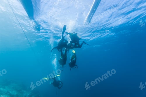 Preview: Diver Underwater