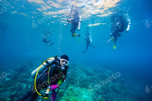 Preview: Diver Underwater