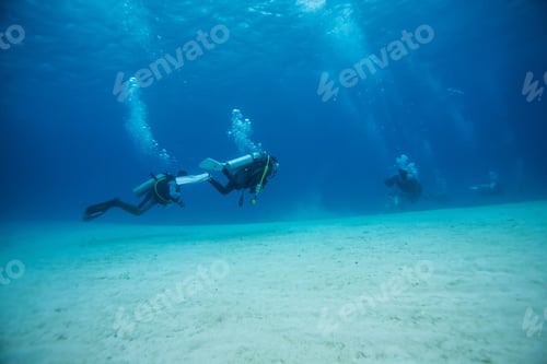 Preview: Diver Underwater