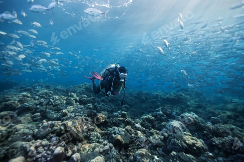 Preview: Diver Underwater