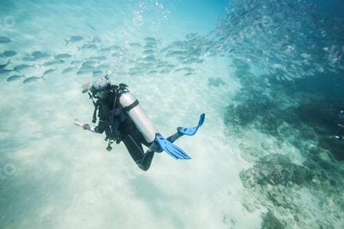 Preview: Diver Swimming In Fish School In Dimakya Island, Palawan, Philippines.