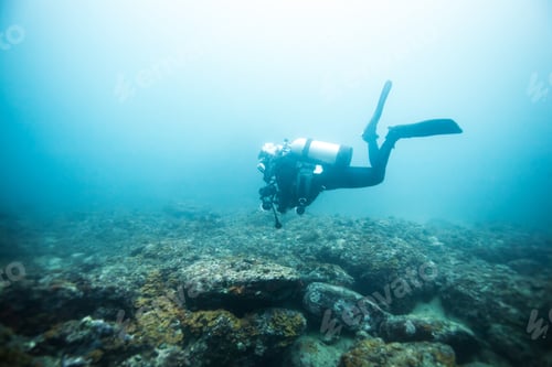 Preview: Diver Underwater