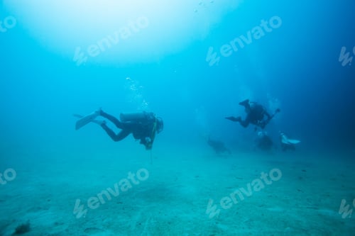 Preview: Diver Underwater