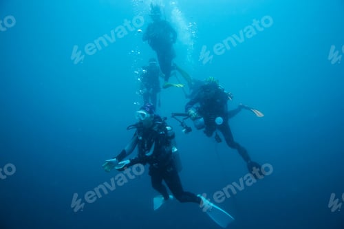 Preview: Scuba Divers Descending On A Descent Line