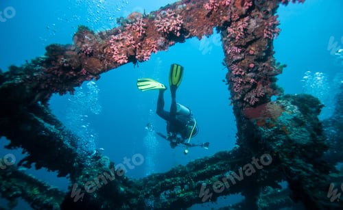 Preview: Diver Underwater