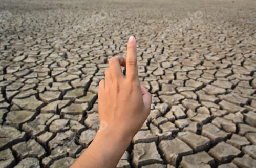 Preview: Hand On Dry Soil. Concept Drought