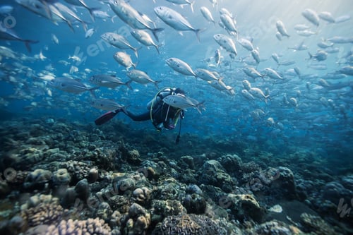 Scuba Diver Swimming Through School of Silver Fish