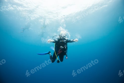 Preview: Diver Underwater