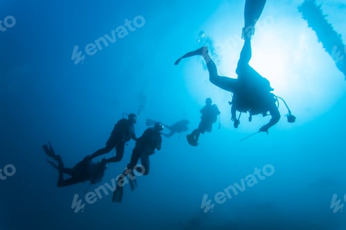 Preview: Diver Underwater