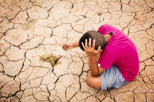 Preview: Boy Watering Little Green Plant On Crack Dry Ground, Concept Drought And Save The World