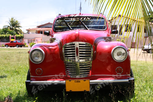 Preview: Cuba. Old Car And Palm