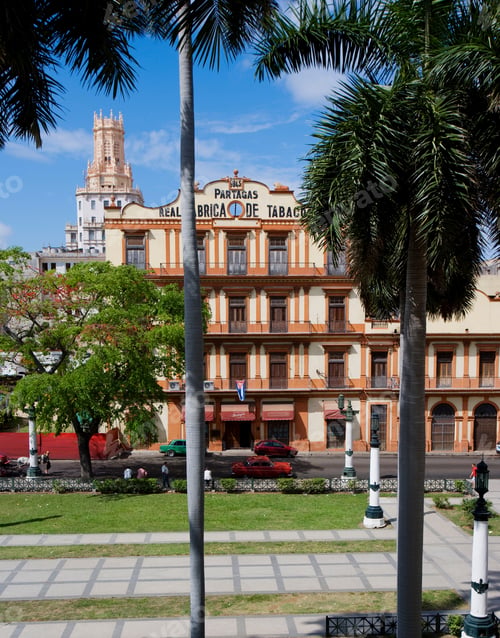 Preview: Partagas Cigar Manufactory, Havana, Cuba
