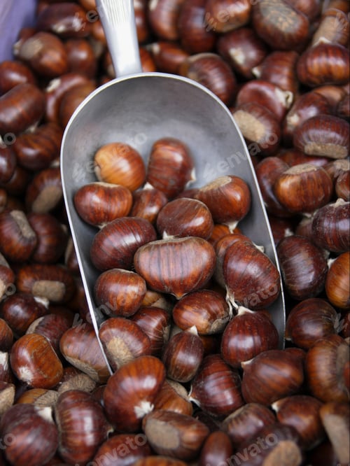 Preview: Close Up Of Sweet Chestnuts