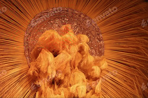 Preview: Rear View Of Costume For Carnival, Rio De Janeiro, Brazil