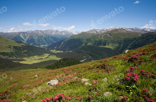 Preview: View To Prattigau, Near Davos, Grisons, Switzerland