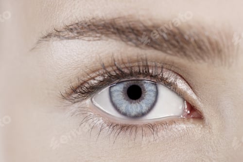 Preview: Close-Up Of Young Woman'S Eye