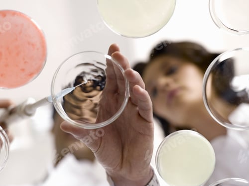 Preview: Low Angle View Of Scientists Testing Liquid In Petri Dish