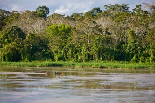 Preview: Riverside Of Amazon River Near Uara, Brazil